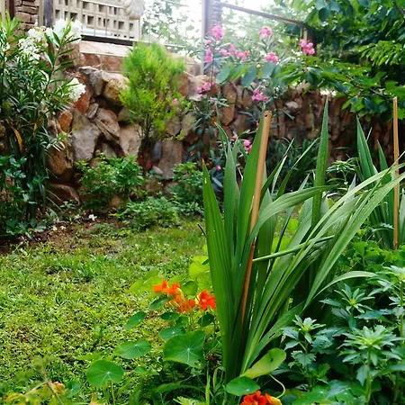 Guest house Dara