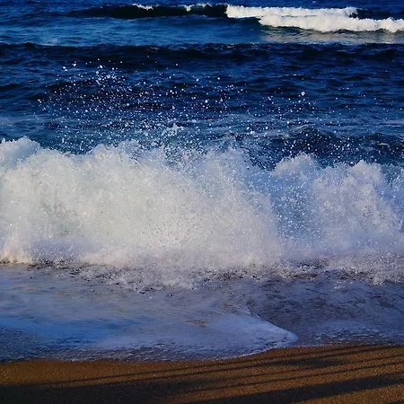 Konukevi Dara Tsarevo