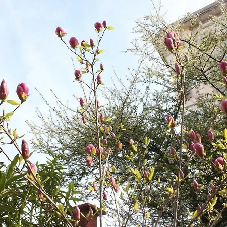 Dara Maison d'hôtes 2*