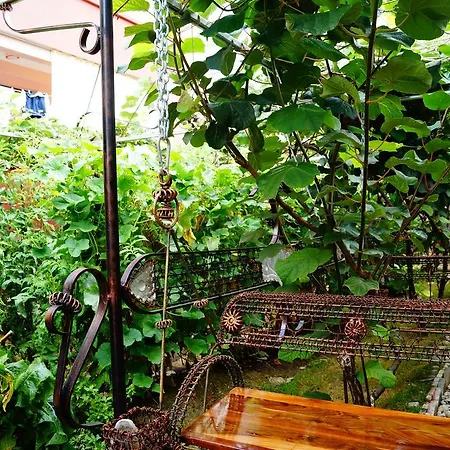 Dara Pensión Tsarevo